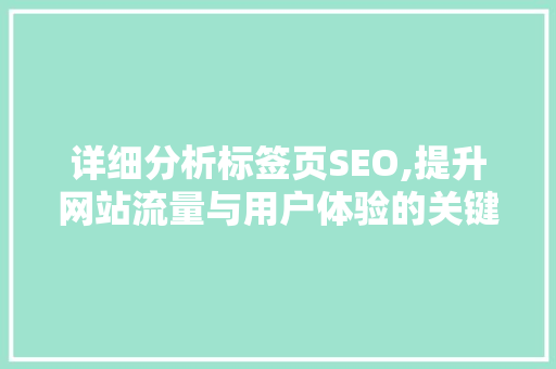 详细分析标签页SEO,提升网站流量与用户体验的关键步骤