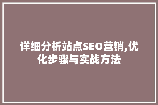 详细分析站点SEO营销,优化步骤与实战方法