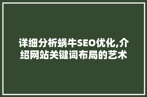 详细分析蜗牛SEO优化,介绍网站关键词布局的艺术