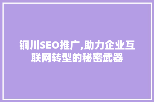 铜川SEO推广,助力企业互联网转型的秘密武器