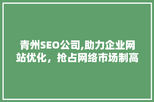 青州SEO公司,助力企业网站优化，抢占网络市场制高点