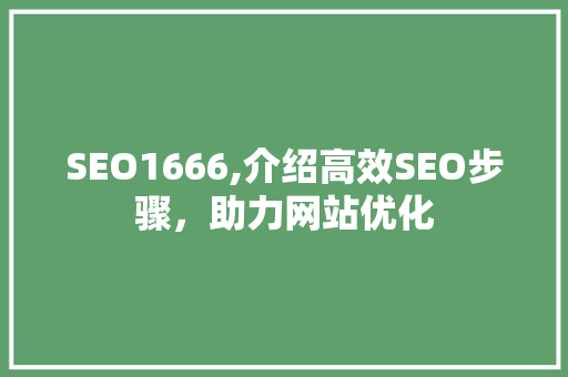 SEO1666,介绍高效SEO步骤，助力网站优化