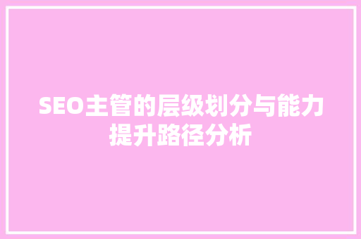 SEO主管的层级划分与能力提升路径分析