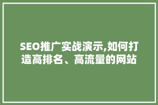 SEO推广实战演示,如何打造高排名、高流量的网站