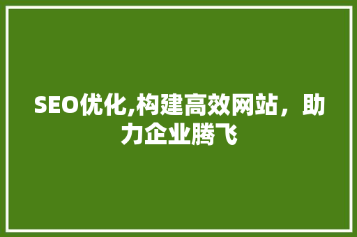 SEO优化,构建高效网站，助力企业腾飞