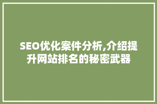 SEO优化案件分析,介绍提升网站排名的秘密武器