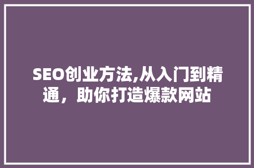 SEO创业方法,从入门到精通，助你打造爆款网站