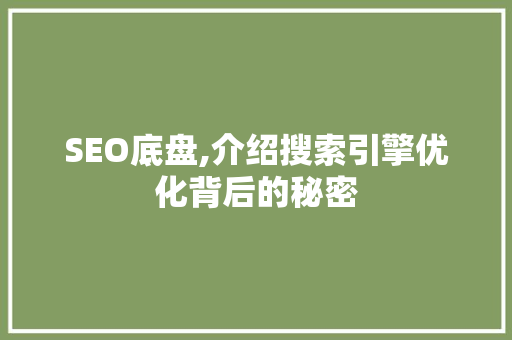 SEO底盘,介绍搜索引擎优化背后的秘密