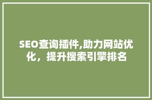 SEO查询插件,助力网站优化，提升搜索引擎排名