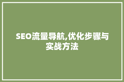 SEO流量导航,优化步骤与实战方法