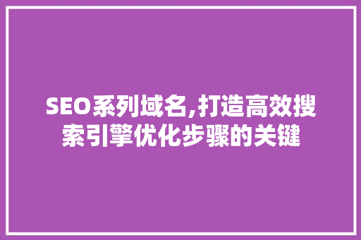 SEO系列域名,打造高效搜索引擎优化步骤的关键