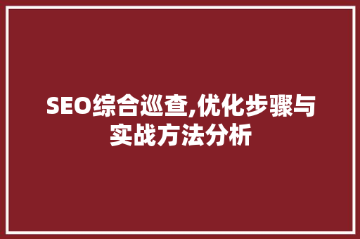 SEO综合巡查,优化步骤与实战方法分析