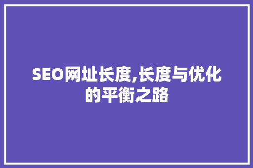SEO网址长度,长度与优化的平衡之路
