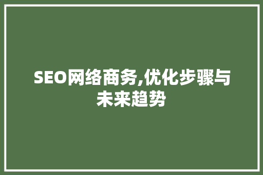 SEO网络商务,优化步骤与未来趋势