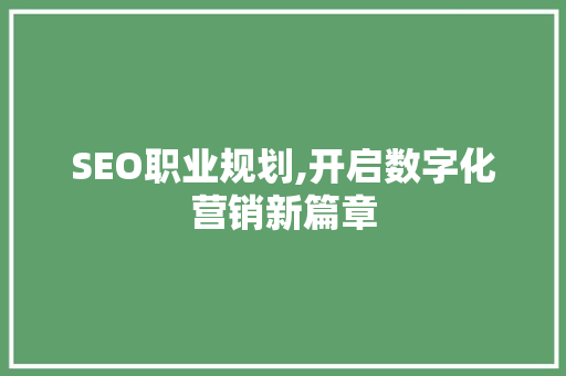 SEO职业规划,开启数字化营销新篇章
