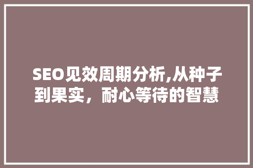 SEO见效周期分析,从种子到果实，耐心等待的智慧