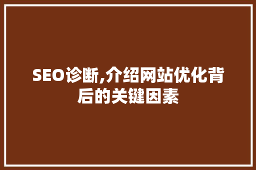SEO诊断,介绍网站优化背后的关键因素