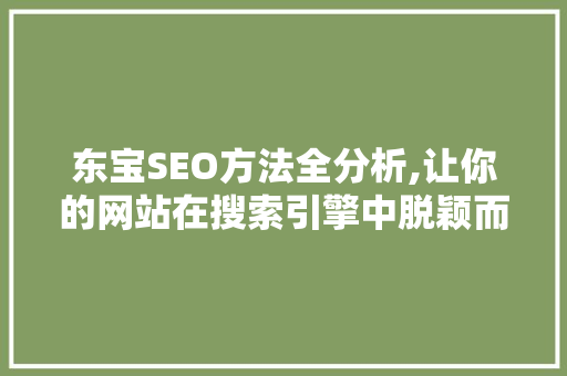 东宝SEO方法全分析,让你的网站在搜索引擎中脱颖而出