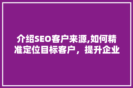 介绍SEO客户来源,如何精准定位目标客户，提升企业竞争力