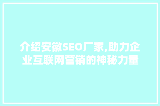 介绍安徽SEO厂家,助力企业互联网营销的神秘力量