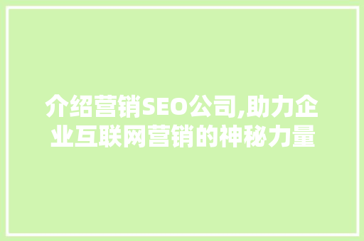 介绍营销SEO公司,助力企业互联网营销的神秘力量