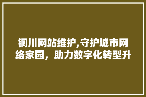 铜川网站维护,守护城市网络家园，助力数字化转型升级