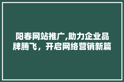 阳春网站推广,助力企业品牌腾飞，开启网络营销新篇章
