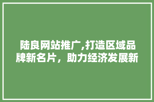 陆良网站推广,打造区域品牌新名片，助力经济发展新引擎