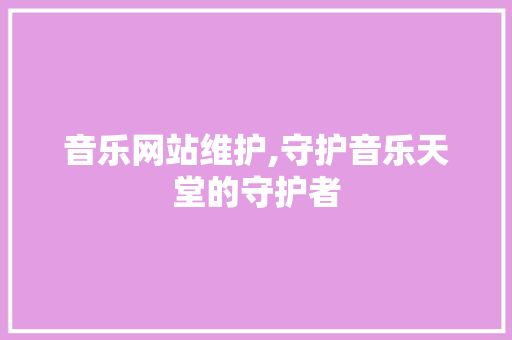 音乐网站维护,守护音乐天堂的守护者