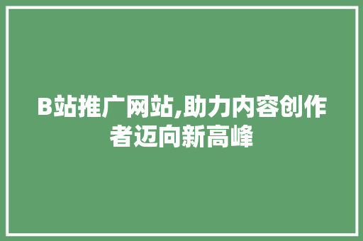B站推广网站,助力内容创作者迈向新高峰