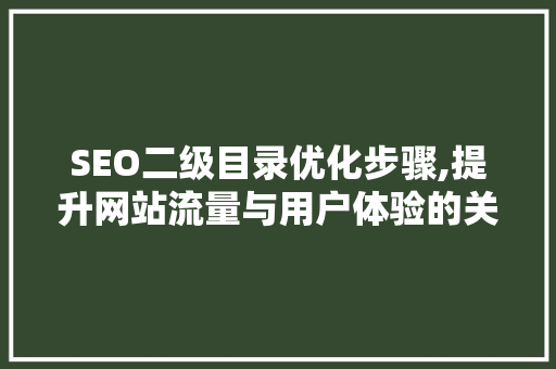 SEO二级目录优化步骤,提升网站流量与用户体验的关键