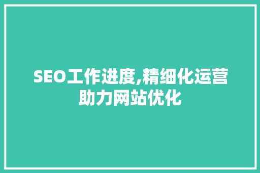 SEO工作进度,精细化运营助力网站优化