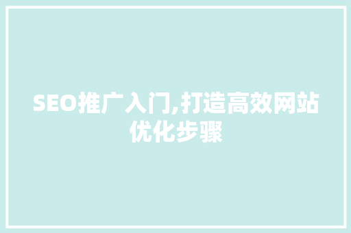 SEO推广入门,打造高效网站优化步骤