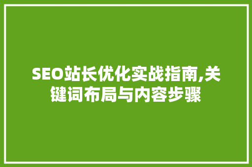 SEO站长优化实战指南,关键词布局与内容步骤