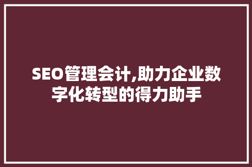 SEO管理会计,助力企业数字化转型的得力助手