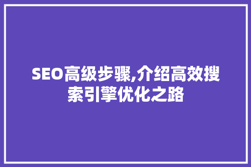 SEO高级步骤,介绍高效搜索引擎优化之路