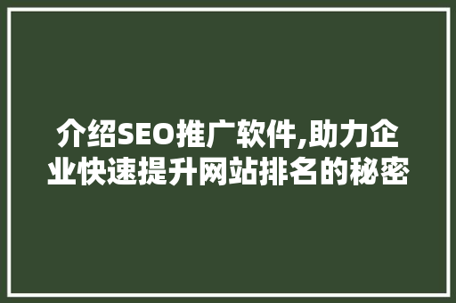 介绍SEO推广软件,助力企业快速提升网站排名的秘密武器
