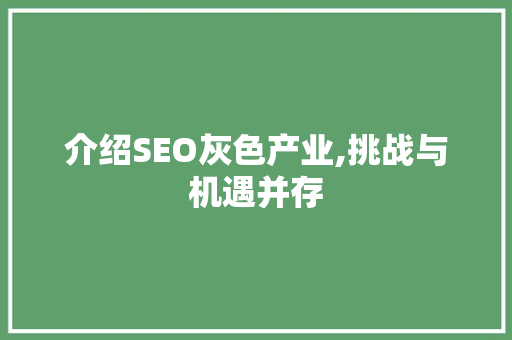 介绍SEO灰色产业,挑战与机遇并存