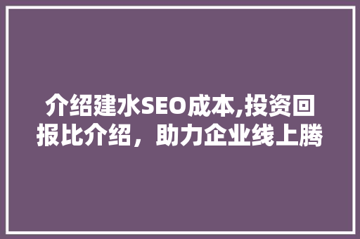 介绍建水SEO成本,投资回报比介绍，助力企业线上腾飞