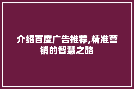 介绍百度广告推荐,精准营销的智慧之路