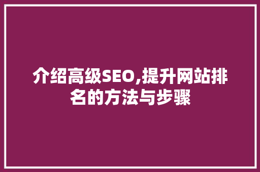 介绍高级SEO,提升网站排名的方法与步骤