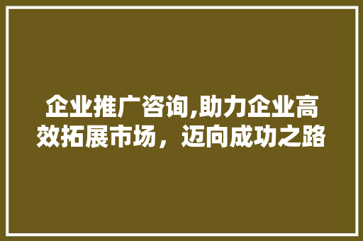 企业推广咨询,助力企业高效拓展市场，迈向成功之路