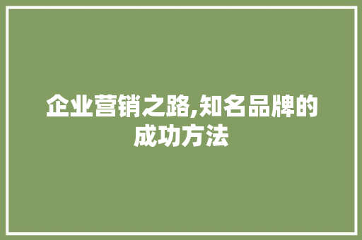 企业营销之路,知名品牌的成功方法