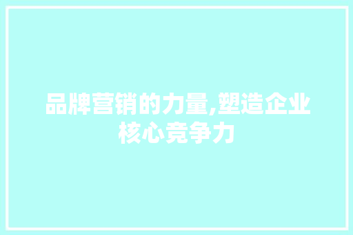 品牌营销的力量,塑造企业核心竞争力