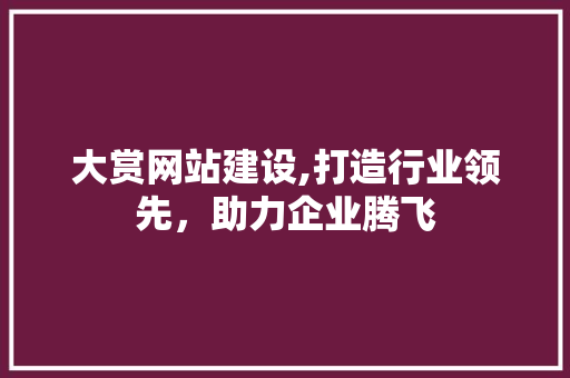 大赏网站建设,打造行业领先，助力企业腾飞