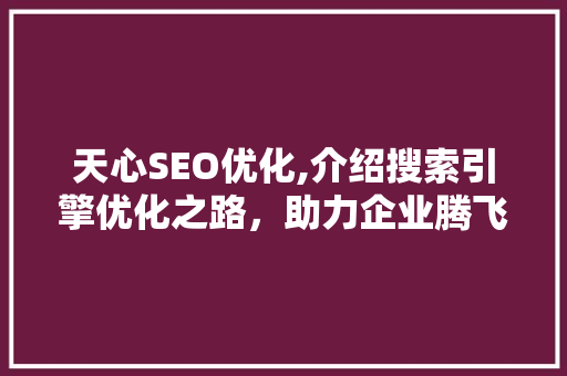 天心SEO优化,介绍搜索引擎优化之路，助力企业腾飞