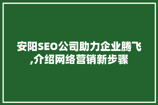 安阳SEO公司助力企业腾飞,介绍网络营销新步骤