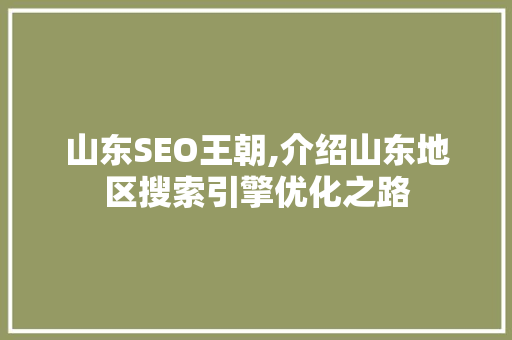 山东SEO王朝,介绍山东地区搜索引擎优化之路