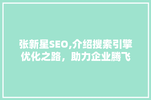 张新星SEO,介绍搜索引擎优化之路，助力企业腾飞
