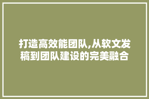 打造高效能团队,从软文发稿到团队建设的完美融合